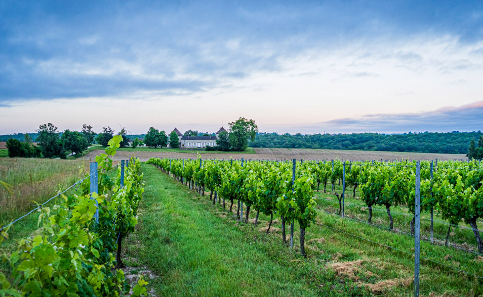 chateau-labatut-3