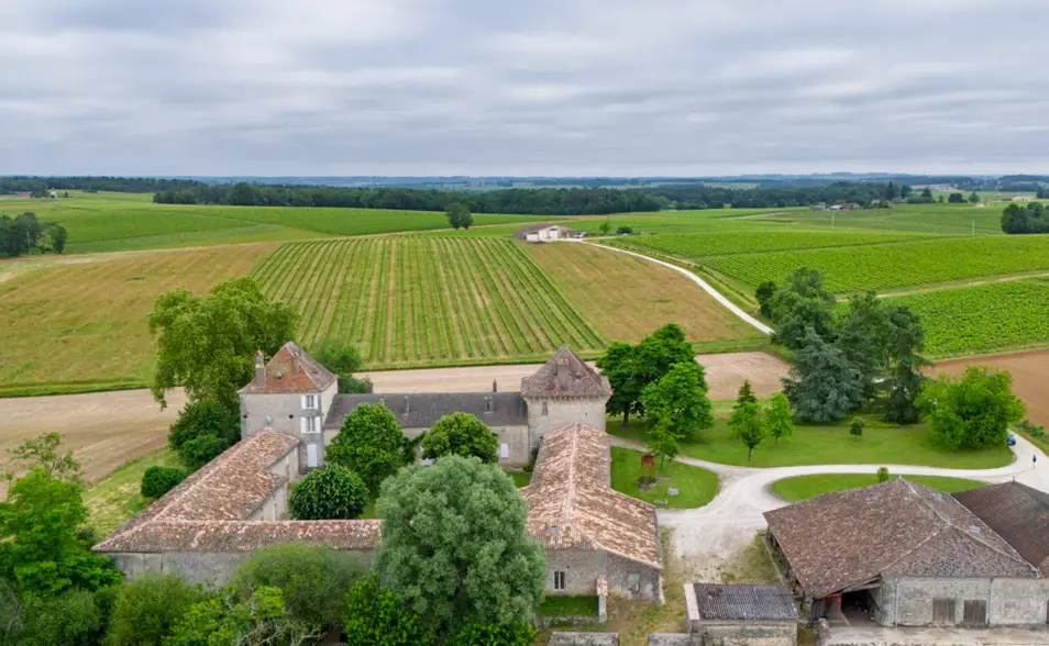 vignoble-chateau-labatut-du-ciel
